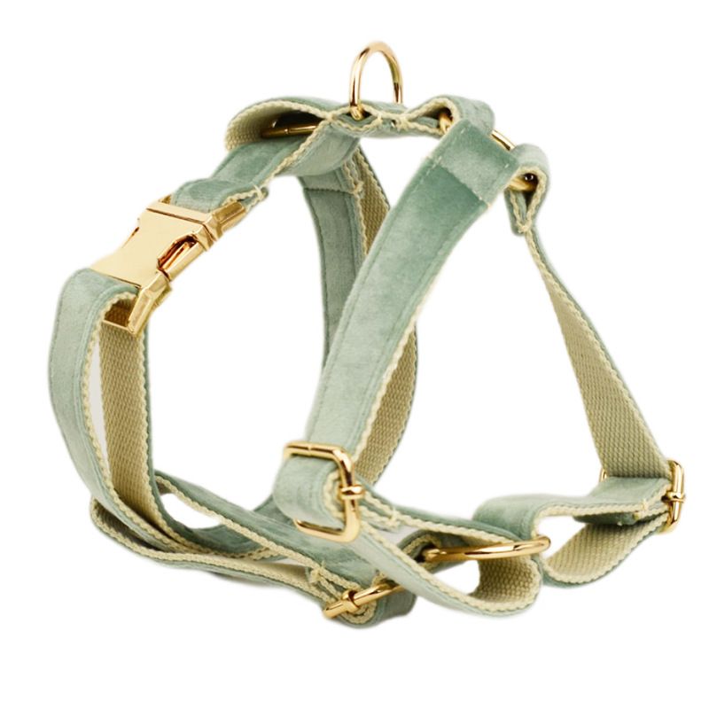 Light Bottom Mint Green Velvet Pet Collar Rope Dog Leash_voghion.com