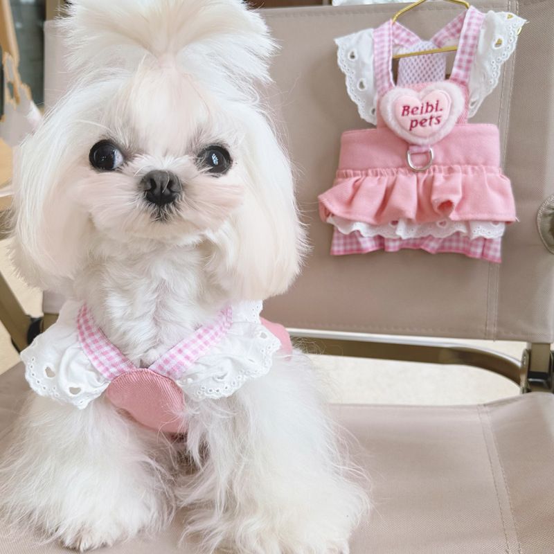 Pet Dog Clothes With Leash Attachment Princess Dress For Small Dogs Puppies Teddy Spring Summer Thin Style_voghion.com