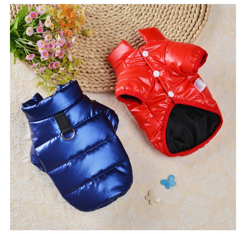 Einweg-Baumwoll-gepolsterte Kleidung Katze Herbst und Winter Hundekleidung Winterkleidung kleine Hunde Haustier Baumwolle gefütterte Jacke neue Baumwolle gefütterte Kleidung Winter_voghion.com