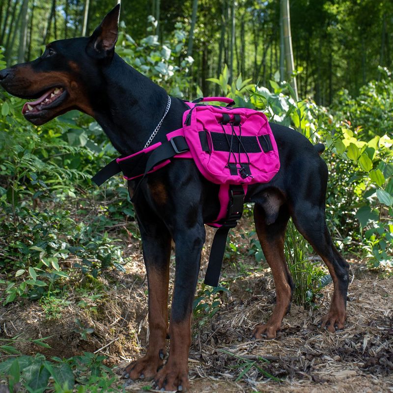 New Multifunctional Pet With Straps Large Pocket Backpack Dog Self-Backpack_voghion.com