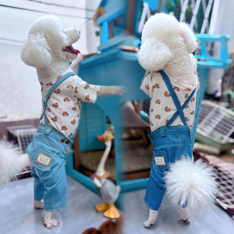 Dog Denim Overalls Spring And Autumn Versatile Pet Clothes Teddy Bichon Pants Gift_voghion.com