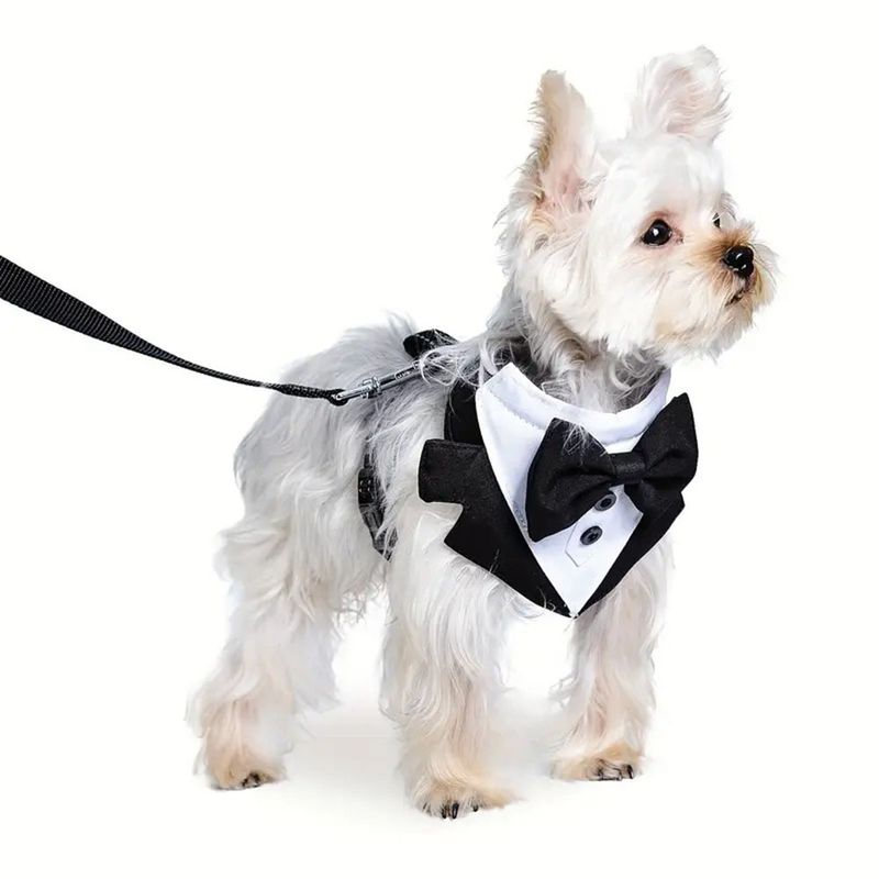 Costume da smoking per cani, camicia formale, abito da cerimonia per cani, giacca nera, abito da cucciolo, principe, abito con papillon, gilet per cani di piccola taglia e gatto._voghion.com
