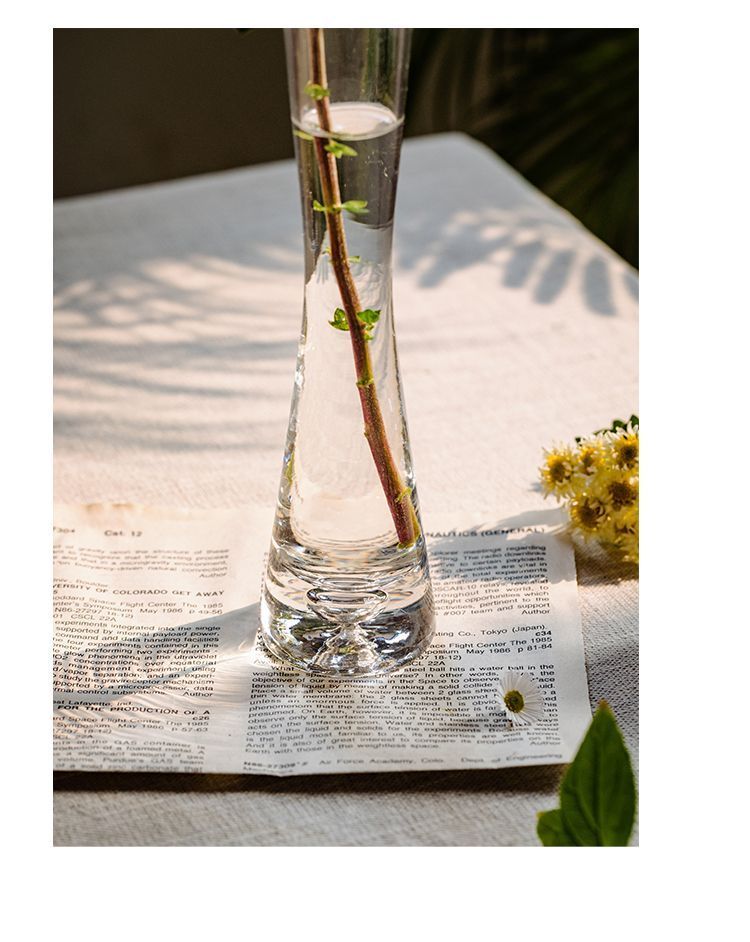 【 46000 People Collected 】 Juhan Nordic Ins High Beauty Arrangement Water Nourishing Small Vase Glass Transparent_voghion.com