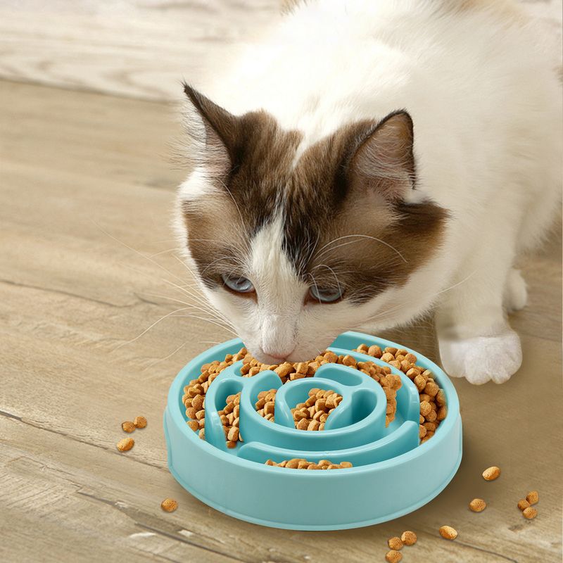 New Feeder Supplies Anti-Choke Cat And Dog Slow Eating Round Plate Lick Food Pet Feeding Utensils_voghion.com