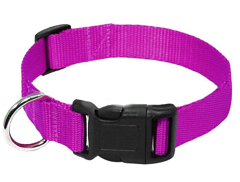 Durable Nylon Dog Collar Neck Strap Leash Pet Supplies_voghion.com