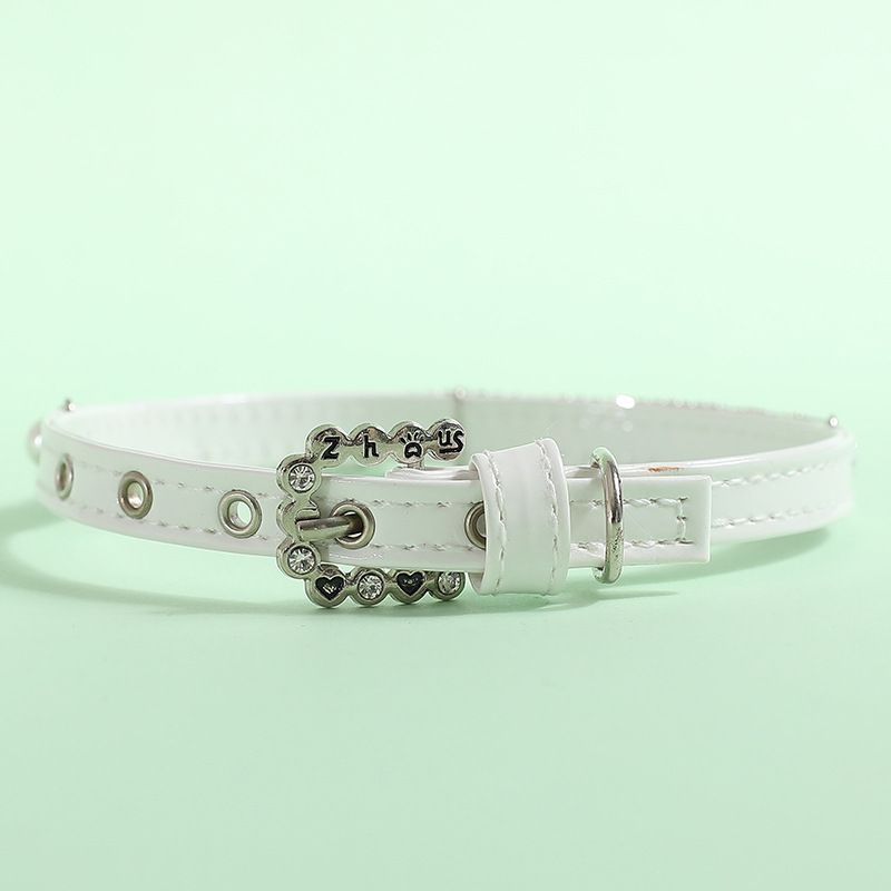 Pet supplies collar traction rope collar set cat necklace small and medium sized dog collar collar accessories_voghion.com