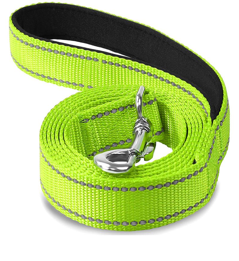 Guinzaglio per animali domestici in nylon riflettente, tessuto in seta, cintura con corda per addestramento, collare a catena, anello per collo per cani_voghion.com
