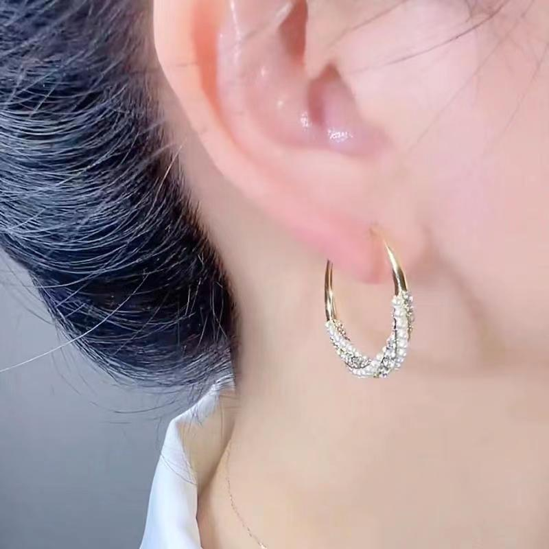 Women's earrings New Temperament Fashion Hoop Earrings Western Style High-end Crystal Earrings Light Luxury Unique Versatile Ear Accessories_voghion.com
