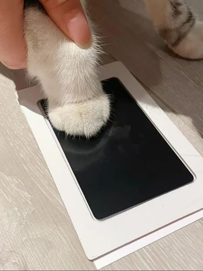 Paw Print Clean Touch Ink Pad, Dog Or Cat Pet Owner Keepsake, DIY Inkless Nose And Pawprint Impression Making Kit_voghion.com