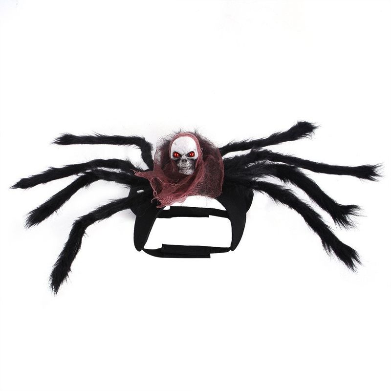 Costume da imbracatura per animali domestici a forma di ragno, per Halloween, per cani e gatti di piccola taglia, per la trasformazione del teschio_voghion.com