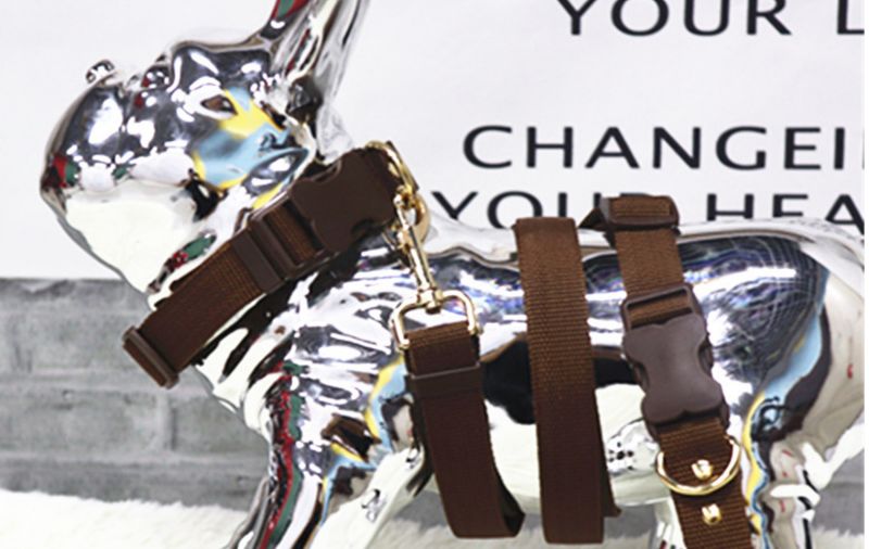 2022 New Solid Color Retractable Dog Running Pet Leash_voghion.com