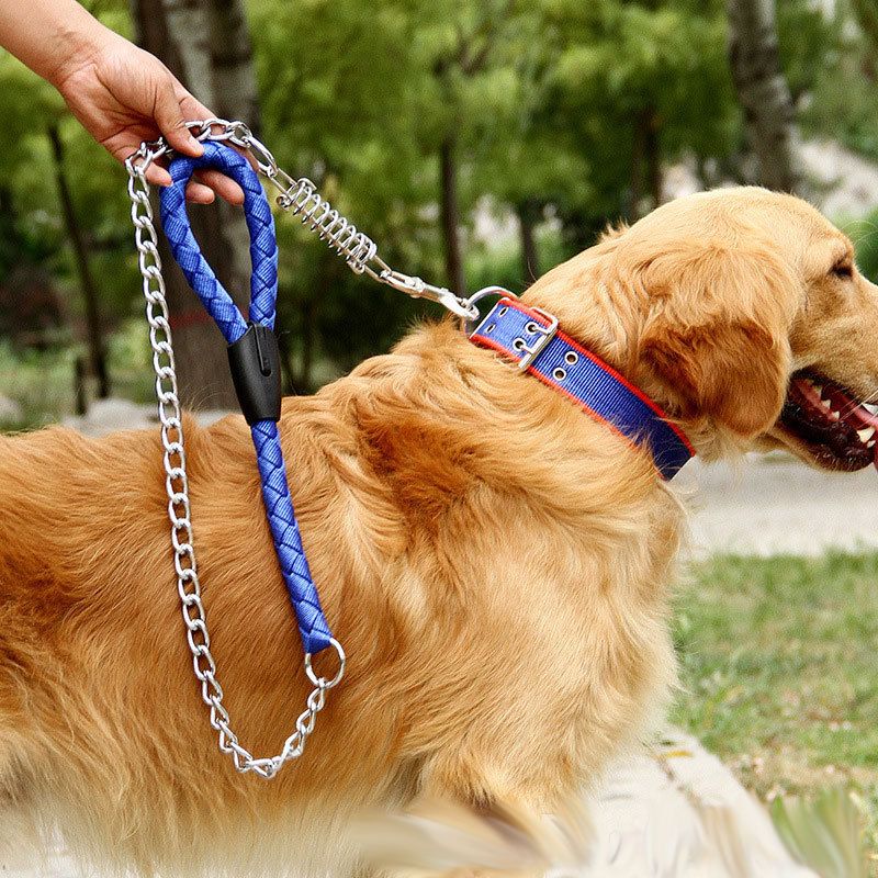 Laisse en nylon pour chiens de taille moyenne et grande, chaîne métallique anti-explosion à ressort, multicolore_voghion.com