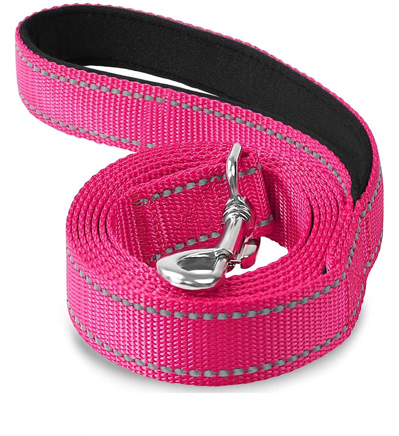 Guinzaglio per animali domestici in nylon riflettente, tessuto in seta, cintura con corda per addestramento, collare a catena, anello per collo per cani_voghion.com
