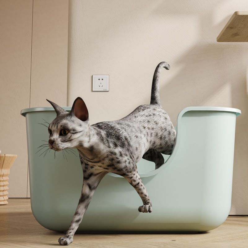 Katzentoilette, extra groß, offen, halbgeschlossen, spritzwassergeschützt, für Maine-Coon-Katzen_voghion.com