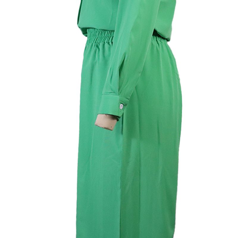 abbigliamento da donna moda temperamento camicia di colore solido pantaloni larghi completo di due pezzi_voghion.com