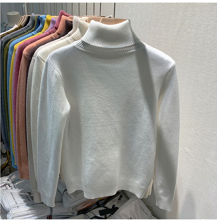 Women's Clothing Plush and thickened turtleneck sweater autumn and winter inner wear one piece fleece bottoming shirt knitted warm top trend_voghion.com