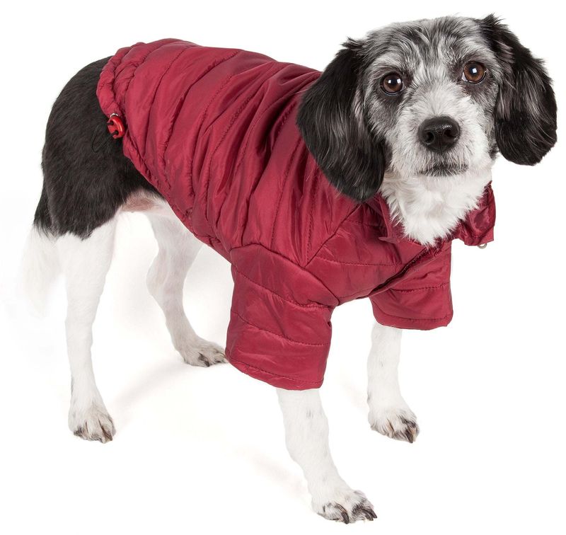 Lightweight Adjustable 'Sporty Avalanche' Pet Coat_voghion.com