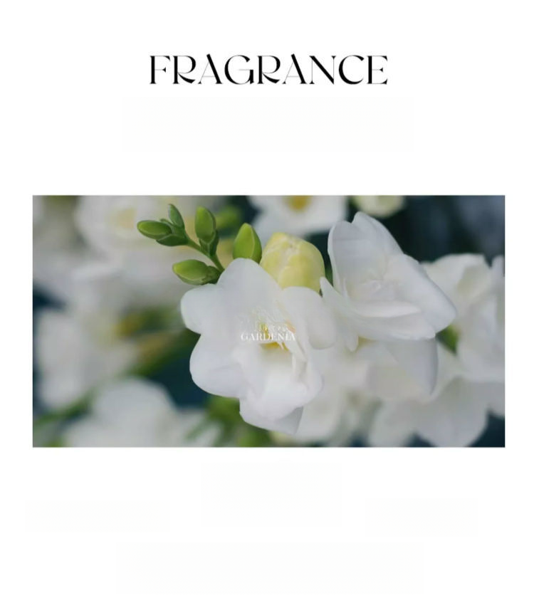 Große Duftkerze mit ätherischen Ölen, rein natürlich, beruhigend fürs Schlafzimmer, Schlafhilfe, langanhaltender Duft, Nischen-High-End_voghion.com