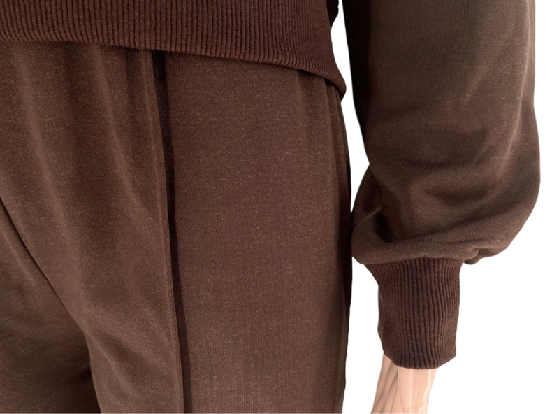 Women's Clothing Autumn and winter new solid color zipper cardigan sweatshirt women's fashion casual straight pants suit_voghion.com