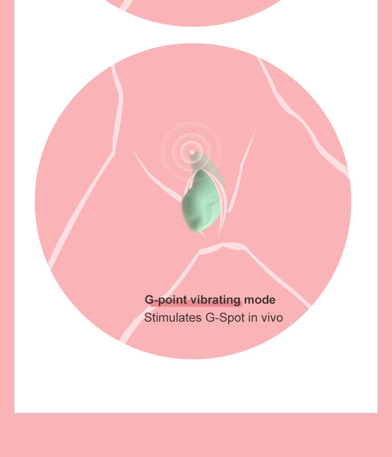 Vibratore per punto G a 10 velocità, telecomando senza fili, stimolatore del clitoride, massaggiatore vaginale, giocattolo sessuale per donne_voghion.com