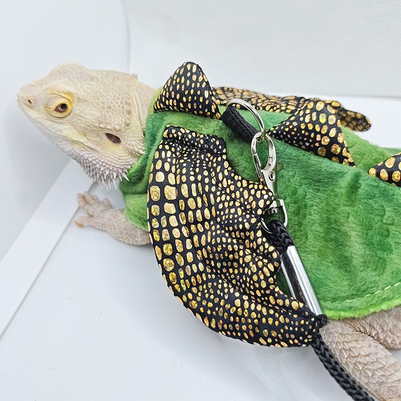 Lizard Cute Outfit Cat Costume Halloween Pet Dinosaur Transformation Funny_voghion.com