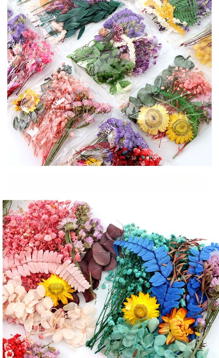 Konserviertes getrocknetes DIY-Material-Kit, echte natürliche luftgetrocknete Kerze, Fächerrahmen, Grußkarten-Dekoration, handgemachte Blume_voghion.com