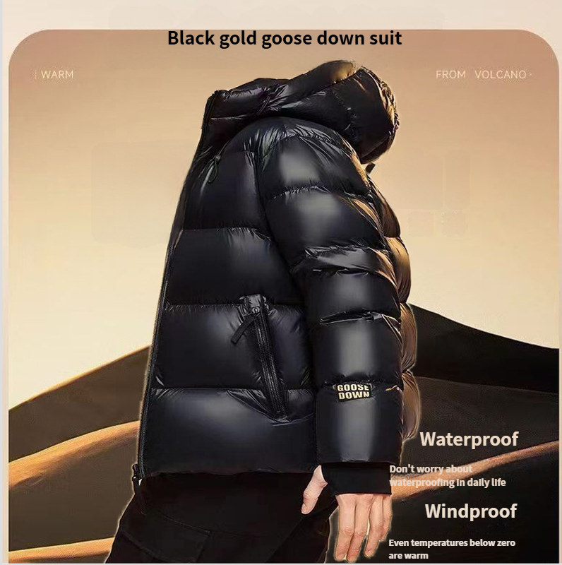 Giacca corta con cappuccio invernale da uomo Black Gold Goose Lockdown al 90%, calda e imbottita in piumino_voghion.com