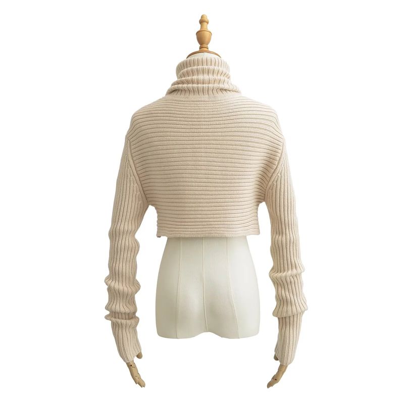 New Style Cool Spicy High Neck Short Thick Sweater Ribbed Slimming Knitted Top For Women_voghion.com