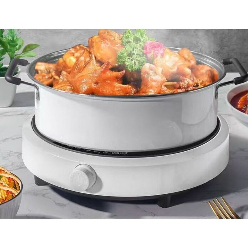 Induction Cooker 110V Small Home Appliance 110 Volt US Canada Taiwan UK Standard High Power_voghion.com