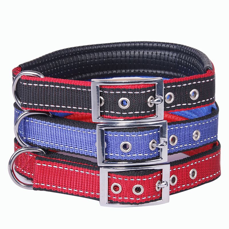 Collare per cani regolabile in schiuma con fibbia in ferro classica e fodera in morbida pelle per animali domestici_voghion.com
