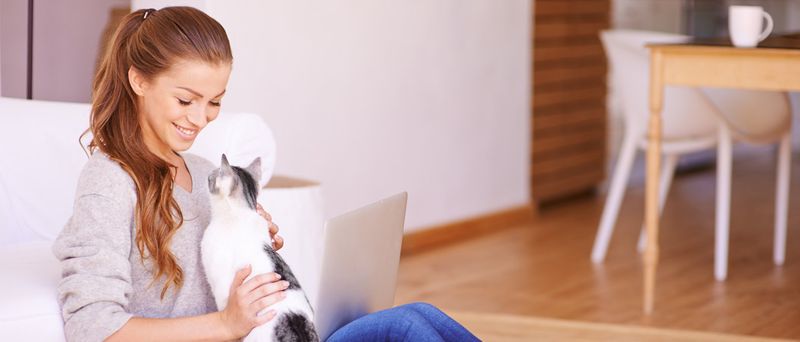 Depets Self Cleaning Slicker Brush, Dog Cat Bunny Pet Grooming Shedding Brush - Easy To Remove Loose Undercoat_voghion.com