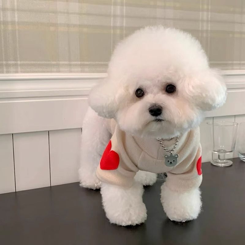 Solid Color Pounding Red Heart Patch Base Shirt, Small Two Legged Long Sleeved Pet Dog Clothes_voghion.com