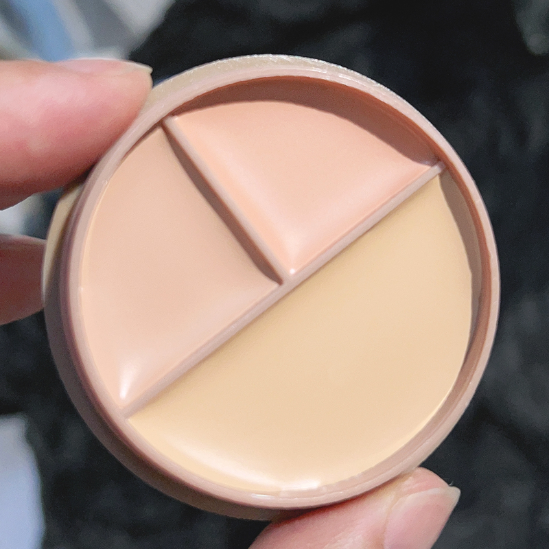 Concealer-Palette, wasserfeste Creme-Textur, deckt Akne-Markierungen, Augenringe, multifunktionales Make-up, langlebig, Bri ab_voghion.com