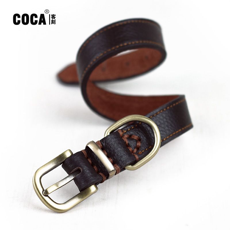 COCA Halsband für Welpen mit individueller Dornschließe, Teddy Bichon, echtes Leder, Länge 42 cm x Breite 2,0 cm_voghion.com