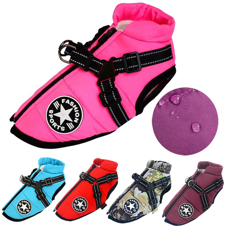 CDDMPET Winter Cotton Dog Jacket S-2XL By PawParty Store_voghion.com