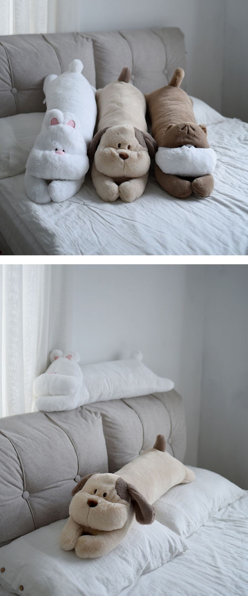 Cani Gatti Gambe Dormire Lunghi Pisolini Cuscini per Divano Cuscini per Letto Decorazioni per Finestre Regali_voghion.com