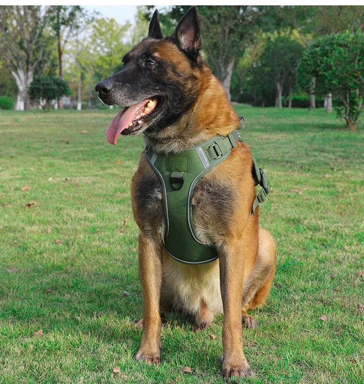 Pet 2024 per cani di taglia media e grande, imbracatura tattica in stile gilet, guinzaglio per passeggiate con il cane_voghion.com