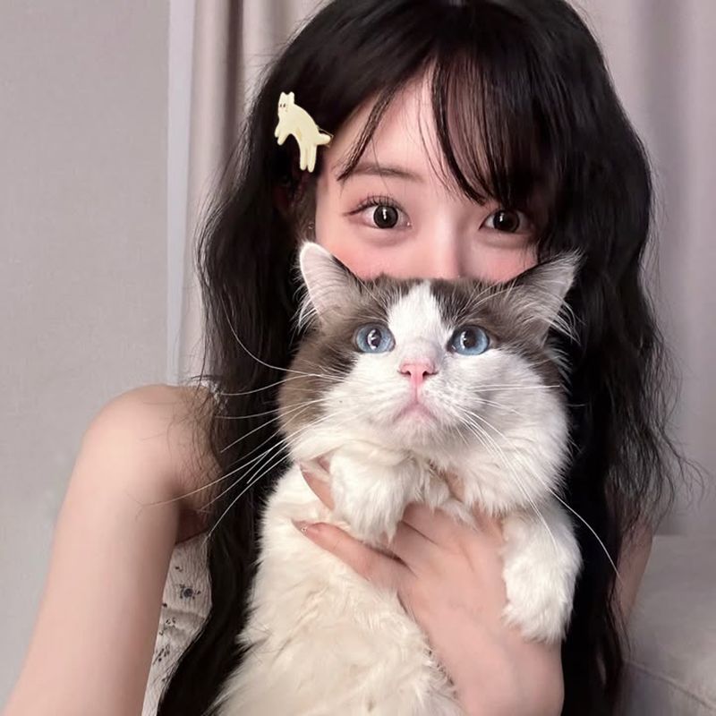 Korea Frankreich Bloggers süße kleine Katzenhaarspange Französische vielseitige Pony-Entenschnabelspange Seitlich gebrochene Haarspange_voghion.com