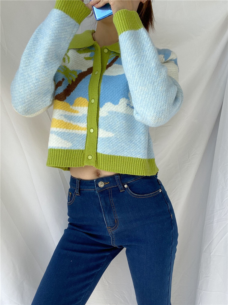 Neue Herbst- und Winterstrand-Kokosnuss-einreihige Revers-Langarm-Kurzstrickpullover-Strickjacke_voghion.com