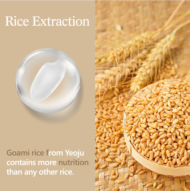 Rice Toner Moisturizes, Brightens, Replenishes Water And Nourishes Sensitive Skin_voghion.com