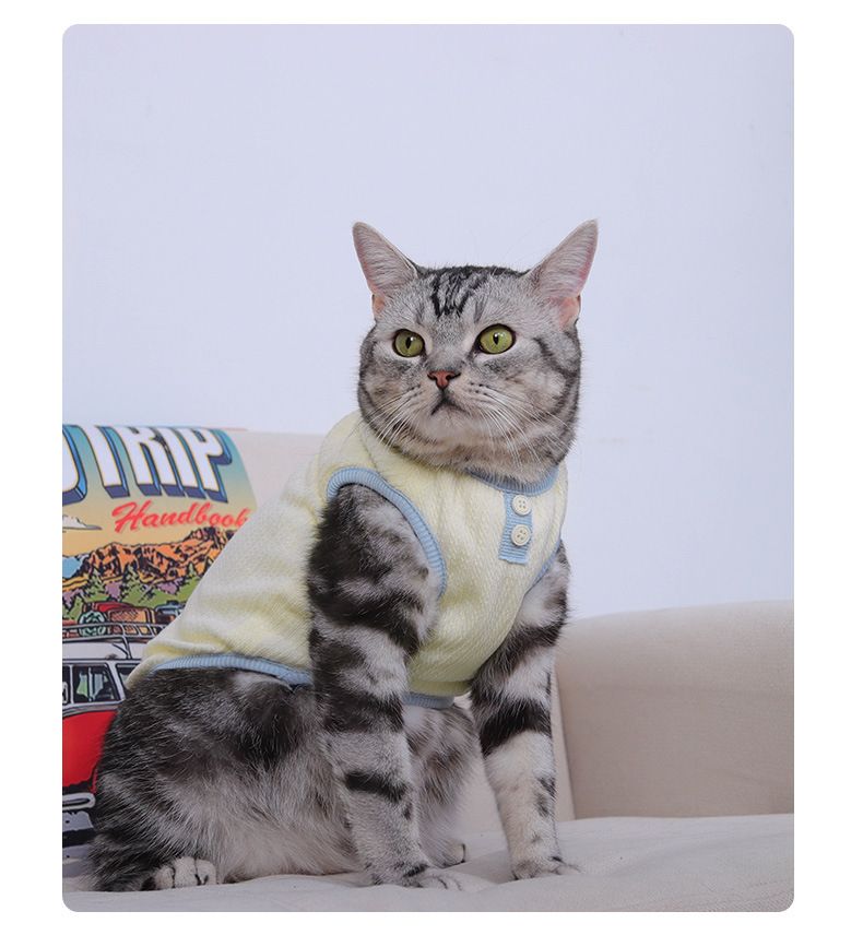 Nuovi vestiti per gatti, autunno e inverno, stile coreano, gilet spesso, abbigliamento per animali domestici, Teddy Bichon, cani di piccola taglia_voghion.com