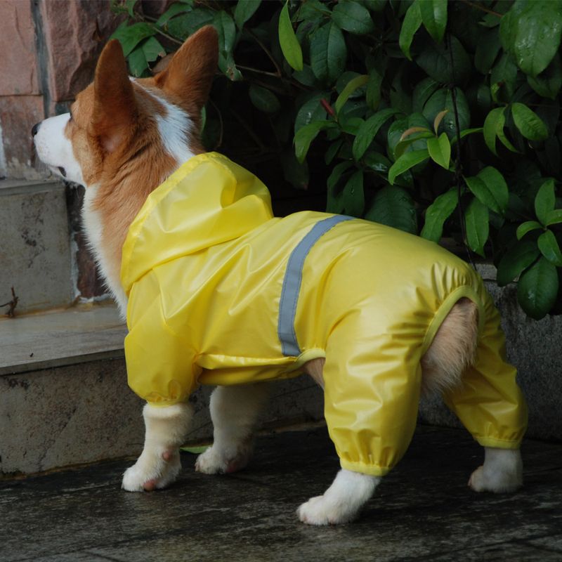 HAND-IN-HAND Waterproof Raincoat For Dogs By PawParty Store_voghion.com