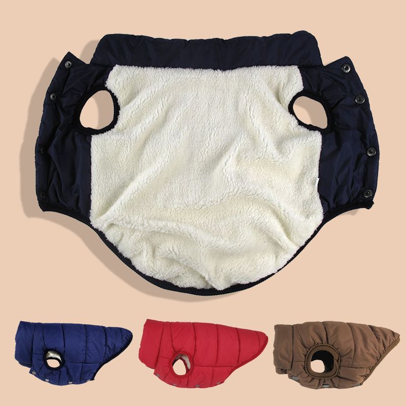 Winter Women's Warm Jacket With French Bulldog Lining Small And Medium Dogs, Soft Windproof Fabric Outfits For Labrador By PawParty Store_voghion.com