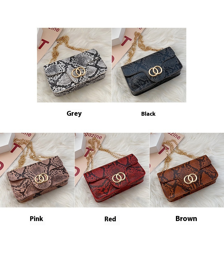Borsa quadrata piccola con motivo serpente 2024 Nuova mini borsa per telefono europea e americana con tracolla a catena Borsa a tracolla_voghion.com