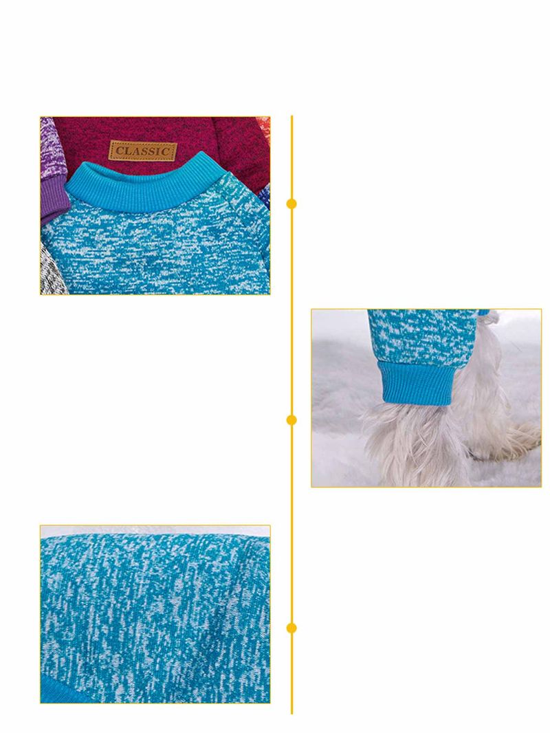 Dog And Cat Pet Clothes Autumn And Winter New Two Legged Multi Color Optional Thin Fleece Sweatshirt Teddy Pet Supplies Wholesale_voghion.com