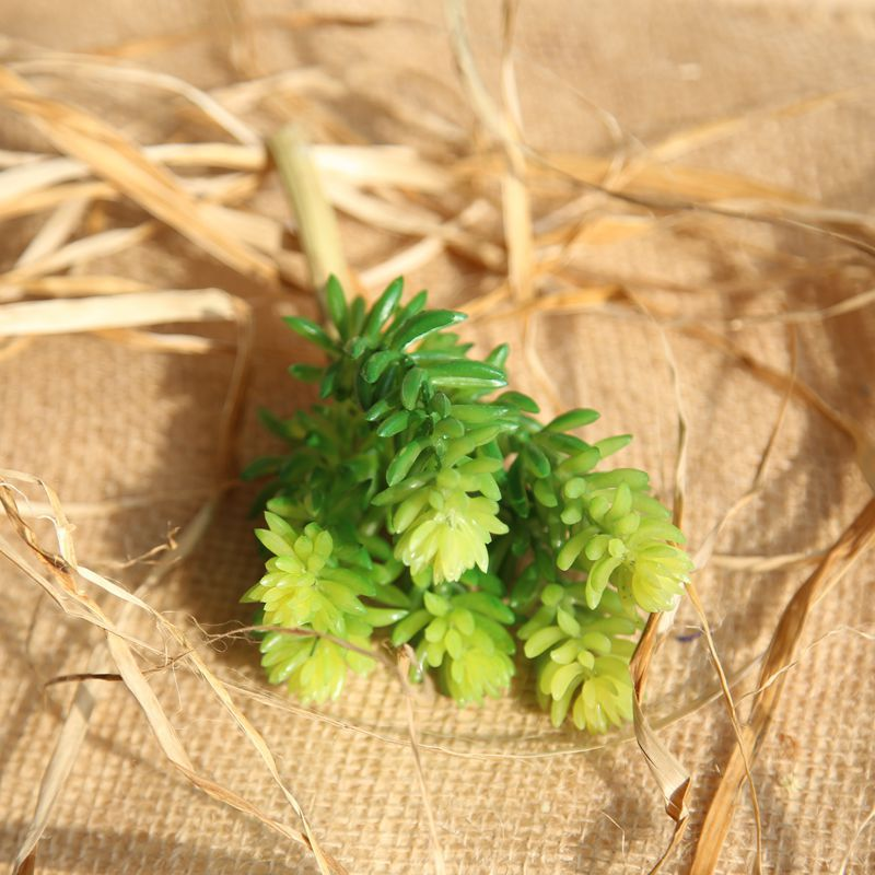 Succulent plant artificial flower six-headed jade lotus home wedding bouquet flower wall plant wall artificial flower MW17692_voghion.com