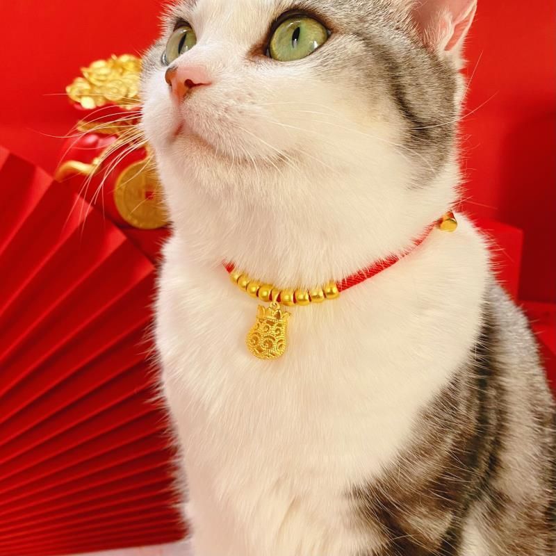 Collare per animali domestici, nuovo, con lucchetto a lunga durata, per la pace, per le feste, per l'anno del drago, per gatti, cani di piccola taglia, collana in oro regolabile_voghion.com