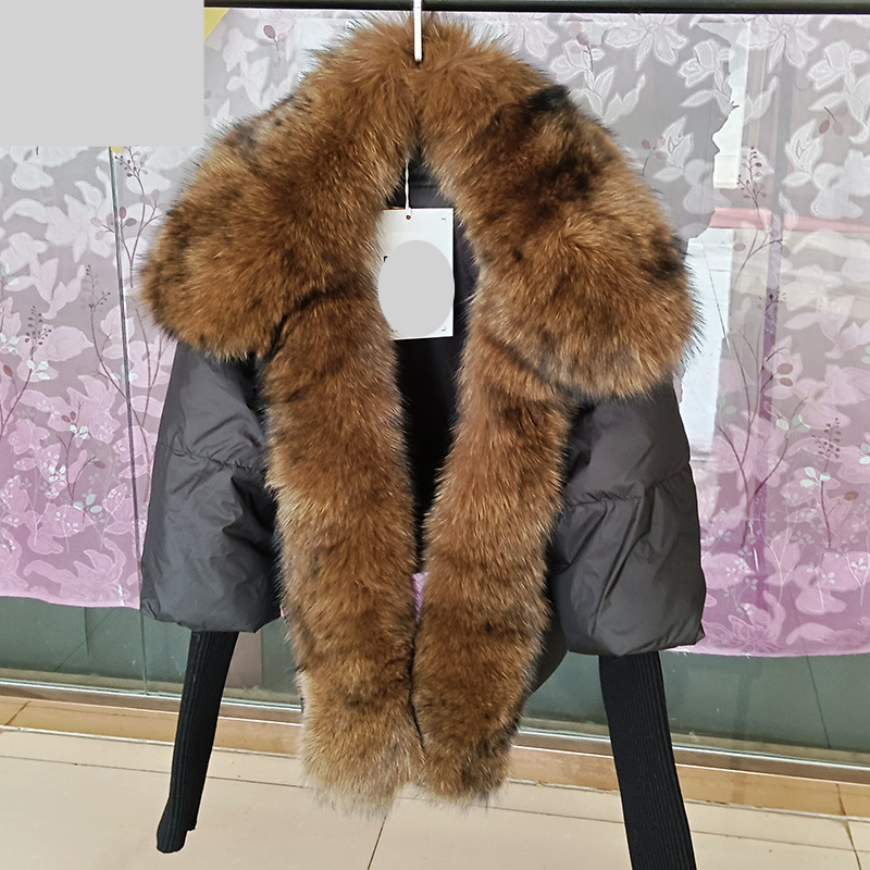 Abbigliamento da donna Giacca calda invernale da donna in vera pelliccia di procione con collo in vera pelliccia_voghion.com