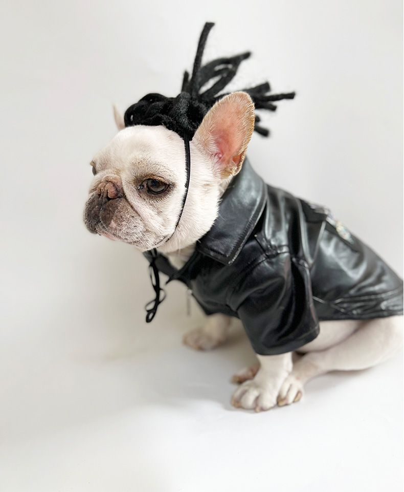 Huisdier pruik Honden pruik Huisdier benodigdheden Halloween Huisdier accessoires Krullend Stijl haar katten pruik_voghion.com