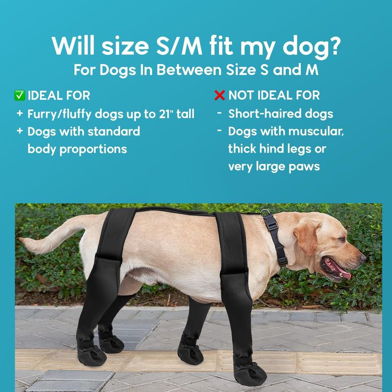 Nouvelles fournitures pour animaux de compagnie, bottes d'extérieur, chaussures pour chiens, protections de pattes anti-salissures, toutes saisons, universelles, imperméables et antidérapantes_voghion.com